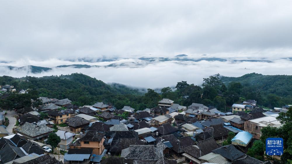 大奖网官方网站下载